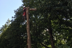 CONTROLED DISMANTLE OF STEM SECTIONS TO 'DROP ZONE'