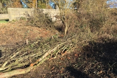 TRADITIONAL HEDGE LAYING - NOVEMBER