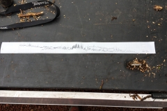 RESISTOGRAPH OUTPUT USED TO ANALYSE TREE INTEGRITY