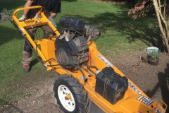 STUMP GRINDING